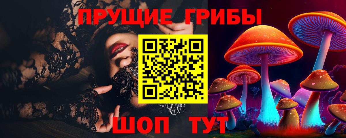 Галлюциногенные грибы Psilocybe  Вход с VPN  Галлюциногенные грибы Psilocybine cubensis  Ленинск-Кузнецкий 